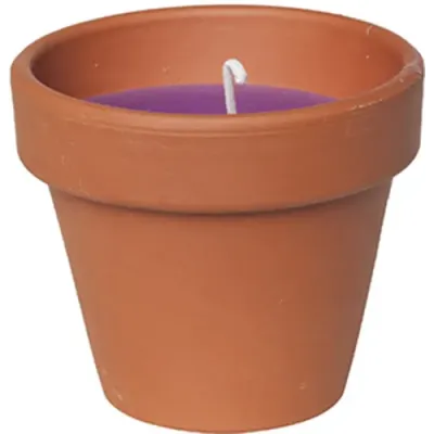 Свеча Candle pot Стандарт 10 x 11 см Коричневый с фиолетовым (000001350) Свеча Candle pot Стандарт 10 x 11 см Коричневый с фиолетовым (000001350)