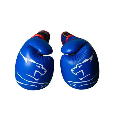 Боксерські рукавиці PowerPlay 3018 12 унцій Сині (PP_3018_12oz_Blue)