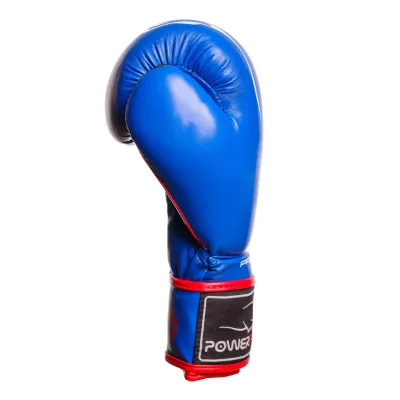 Боксерські рукавиці PowerPlay 3018 14 унцій Сині (PP_3018_14oz_Blue)
