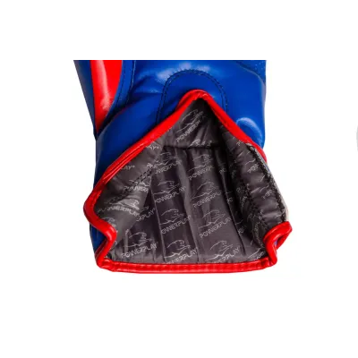 Боксерські рукавиці PowerPlay 3018 14 унцій Сині (PP_3018_14oz_Blue)