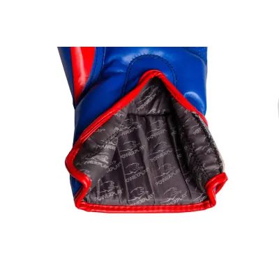 Боксерські рукавиці PowerPlay 3018 10 унцій Сині (PP_3018_10oz_Blue)