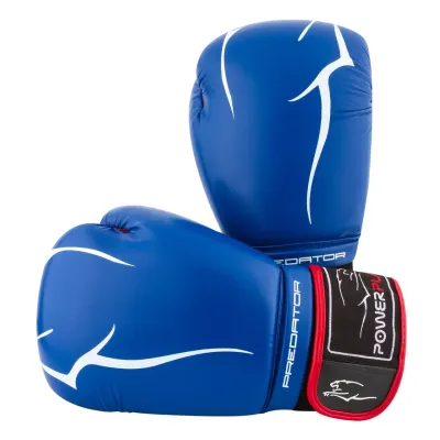 Боксерські рукавиці PowerPlay 3018 10 унцій Сині (PP_3018_10oz_Blue)