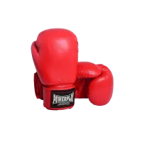 Боксерські рукавиці PowerPlay 3004 18 унцій Червоні (PP_3004_18oz_Red)