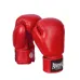 Боксерські рукавиці PowerPlay 3004 10 унцій Червоні (PP_3004_10oz_Red) Боксерські рукавиці PowerPlay 3004 10 унцій Червоні (PP_3004_10oz_Red)
