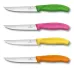 Набор кухонных ножей Victorinox Swiss Classic Cutlery Block Steak Pizza 5 предметов Разноцветные (6.7126.4)