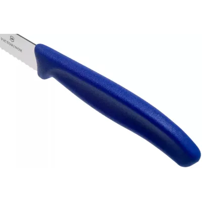 Кухонный нож Victorinox Swiss Classic Steak 11 см Синий (6.7232) Кухонный нож Victorinox Swiss Classic Steak 11 см Синий (6.7232)