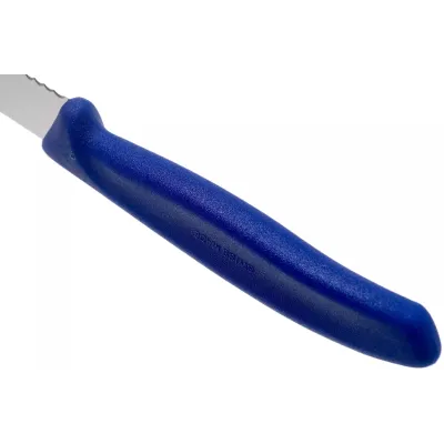 Кухонный нож Victorinox Swiss Classic Steak 11 см Синий (6.7232) Кухонный нож Victorinox Swiss Classic Steak 11 см Синий (6.7232)