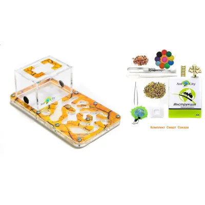 Мурашина Ферма No Brand Smart Цукор комплект для новачка Жовтий (hub_rCgW83439)