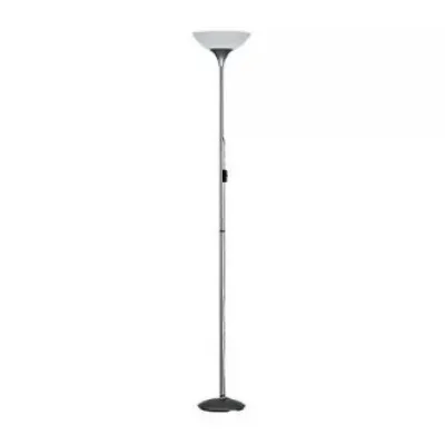 Торшер TRIO R4302-87 Dezwo (R4302-87)