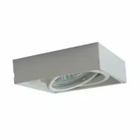 Точковий світильник Zuma Line ONEON DL 50-1 (Zu94361-WH) Точковий світильник Zuma Line ONEON DL 50-1 (Zu94361-WH)