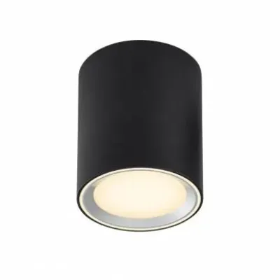 Точковий світильник Nordlux FALLON 47550103 (Nor47550103) Точковий світильник Nordlux FALLON 47550103 (Nor47550103)