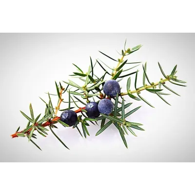 Пахощі Тибетські HI Ялівець Juniper 20,2х4х4 см (25326)