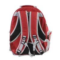Рюкзак-перенесення Taotaopets 253304 Panoramic Red 35х25х42cm з ілюмінатором
