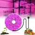 Світлодіодна ФітоЛента GrowLight для кімнатних рослин 5V USB 2835 0.5 м (L362F)