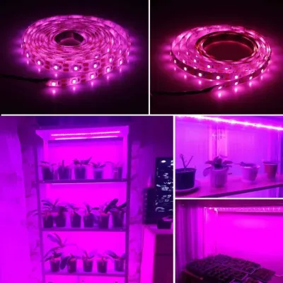 Світлодіодна ФітоЛента GrowLight для кімнатних рослин 5V USB 2835 0.5 м (L362F)