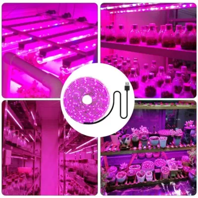 Світлодіодна ФітоЛента GrowLight для кімнатних рослин 5V USB 2835 2 м (L364F) Світлодіодна ФітоЛента GrowLight для кімнатних рослин 5V USB 2835 2 м (L364F)