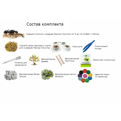 Мурашина Ферма No Brand Марко комплект для новачка Сахара (hub_uw88f7) Мурашина Ферма No Brand Марко комплект для новачка Сахара (hub_uw88f7)
