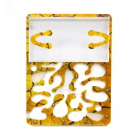 Муравьиная Ферма No Brand Марко комплект для новичка Сахара (hub_uw88f7)