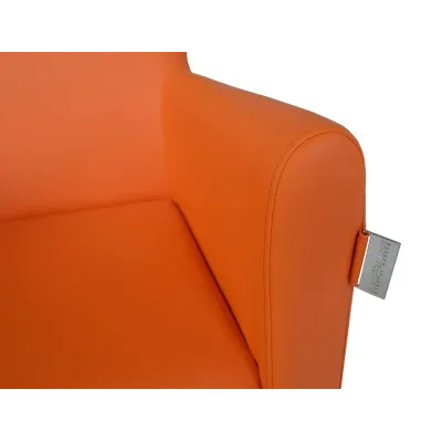 Кресло Richman Остин 61 x 60 x 88H Флай 2218 Оранжевое Кресло Richman Остин 61 x 60 x 88H Флай 2218 Оранжевое