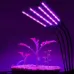 Світлодіодна фітолампа Full Spectrum 4в1 GrowLight 8 режимів яскравості + таймер управління (OJ146IU)