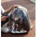 Рюкзак перенесення Pet Cat для домашніх тварин 43х32х28 см Голограма ( код: IBH007S )