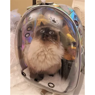 Рюкзак перенесення Pet Cat для домашніх тварин 43х32х28 см Голограма ( код: IBH007S )