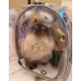 Рюкзак перенесення Pet Cat для домашніх тварин 43х32х28 см Голограма ( код: IBH007S )