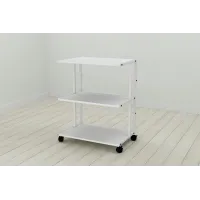 Этажерка на колесиках Ferrum-decor Камило 75x40x60 металл Белый ДСП Белое 16мм (KAM0008)