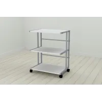 Этажерка на колесиках Ferrum-decor Камило 75x40x60 металл Серый ДСП Белое 16мм (KAM0015)