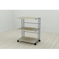 Етажерка на коліщатках Ferrum-decor Каміло 75x40x60 метал Сірий ДСП Дуб Сонома 16мм (KAM0018) Етажерка на коліщатках Ferrum-decor Каміло 75x40x60 метал Сірий ДСП Дуб Сонома 16мм (KAM0018)