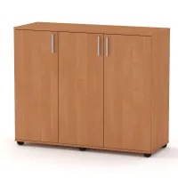 Комод Компаніт 3Д Вільха (120х45х99 см)