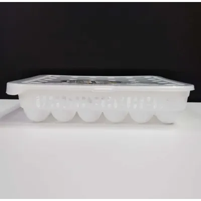 Лоток контейнер для хранения яиц Akay Plastik 30 шт AK681
