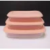Набір прямокутних контейнерів для харчових продуктів 3 шт Альона персиковий 167020