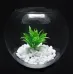 Ваза-акваріум Pasabahce Куля Botanica h-16 см 45068 Ваза-акваріум Pasabahce Куля Botanica h-16 см 45068