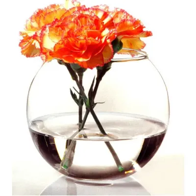 Ваза-акваріум Pasabahce Куля Botanica h-16 см 45068 Ваза-акваріум Pasabahce Куля Botanica h-16 см 45068