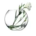 Ваза-акваріум Pasabahce Куля Botanica h-16 см 45068 Ваза-акваріум Pasabahce Куля Botanica h-16 см 45068
