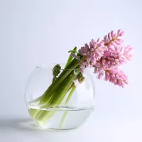 Ваза-аквариум Pasabahce Шар Botanica h-16 см 45068 Ваза-аквариум Pasabahce Шар Botanica h-16 см 45068