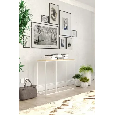 Консоль для дому в стилі Loft NS-366 830x1100x300 мм Черный
