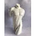 Статуэтка декоративная Торс мужчины 25 см Unicorn Studio AL86328