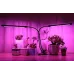 Світлодіодна фітолампа GrowLight 2 Full Spectrum (20202)