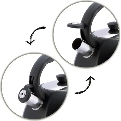 Чайник 3л из нержавеющей стали со свистком черный Kamille DP112959
