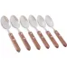 Набор Kamille 6 столовых ложек Natural Treasure с деревянными ручками DP41185