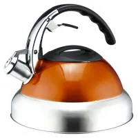 Чайник со свистком Lora Оранжевый H11-003 3000ml Чайник со свистком Lora Оранжевый H11-003 3000ml