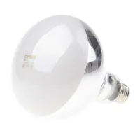 Лампа газоразрядная рефлекторная R Brille Стекло 160W Хром 126339