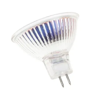 Лампа галогенная Fora Металл 50W Хром 100067
