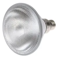 Лампа галогенная Fora Металл 100W Хром 100081
