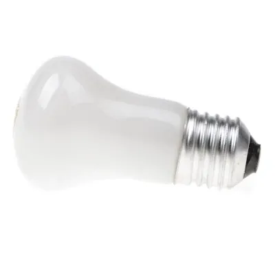 Лампа накаливания декоративная Brille Стекло 40W Белый 126728