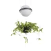 Люстра Brille LED 20W Черный
