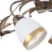 Люстра Brille Флористика 60W E14 Коричневый