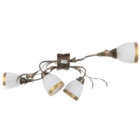 Люстра Brille Флористика 60W E14 Коричневый